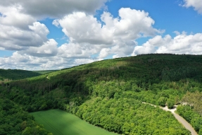 Protéger les forêts des incendies 